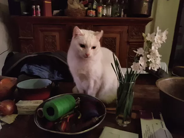 Grisha,greeting the spring...